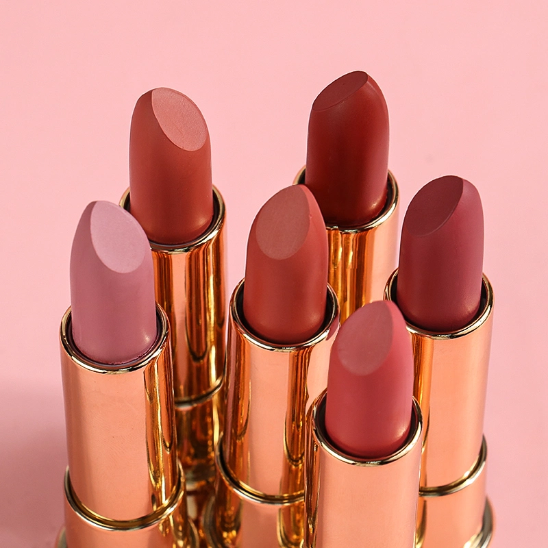 Customized Organic Waterproof Make up Lipstick Matte Texture Lipstick Cosmetics