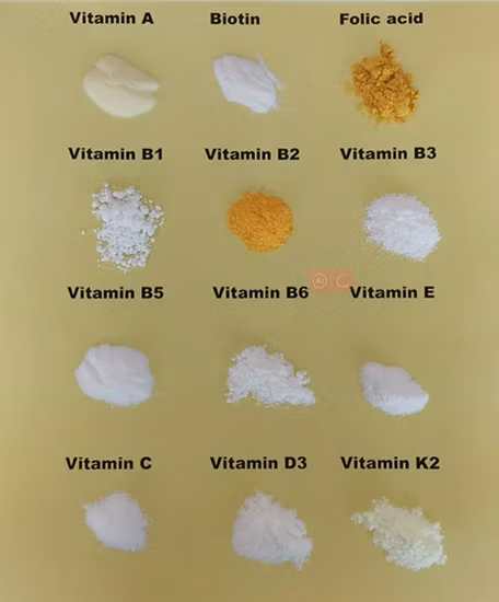 Active Pharmaceutical Ingredient Vitamin B1, B2, B3, B5 B6, B9, B12