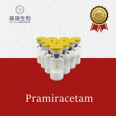 Pramiracetam CAS-68497-62-1 100% 무료 통관 API를 갖춘 중국 원료 화학 공장 공급업체